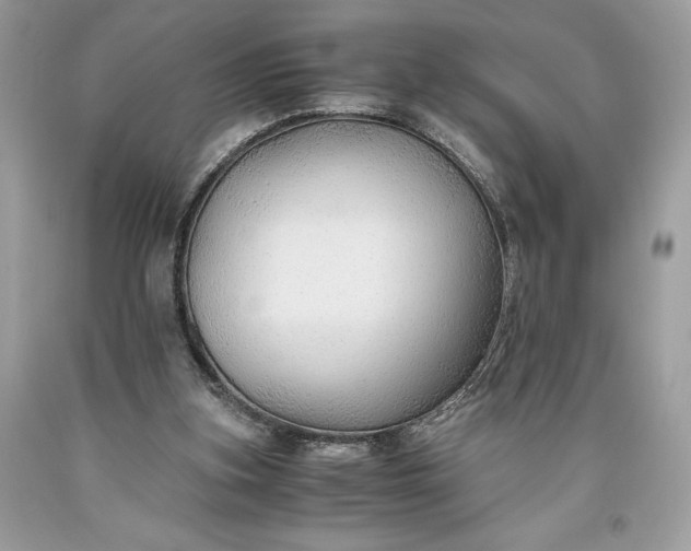 X0000093510155200710261205