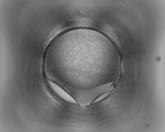 X0000093510156200710261205