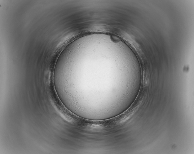 X0000093510157200710261205