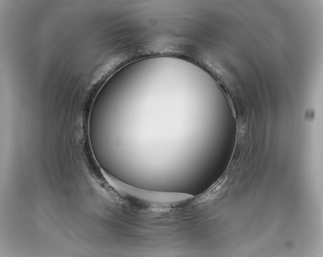 X0000093510158200710261205