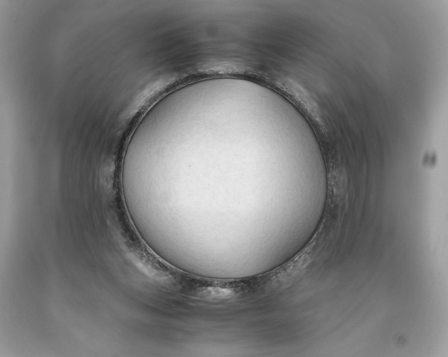 X0000093510159200710261205