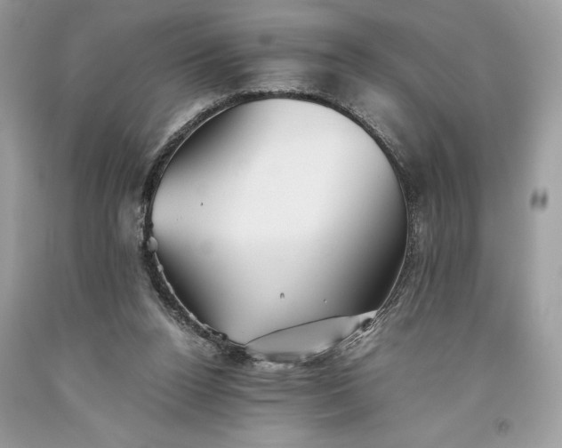 X0000093510160200710261205