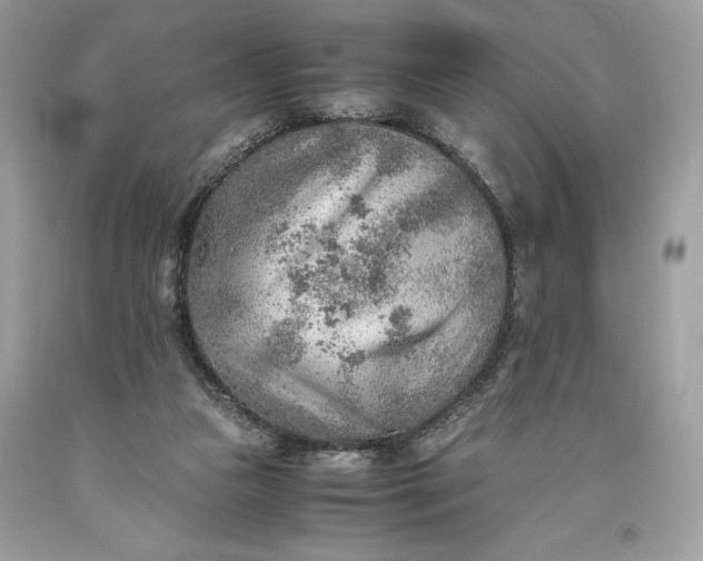 X0000093510161200710261205