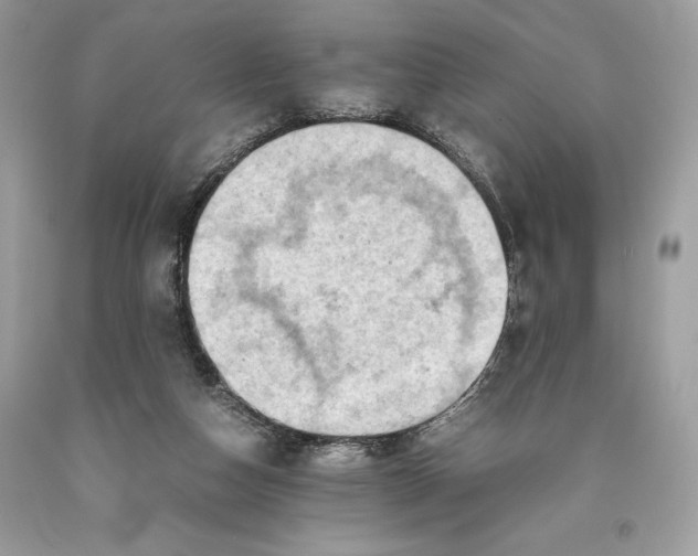 X0000093510162200710261205