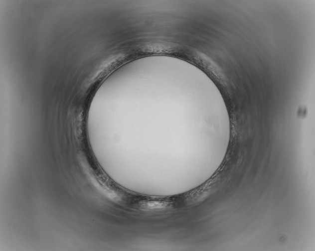 X0000093510163200710261205