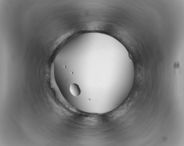 X0000093510164200710261205