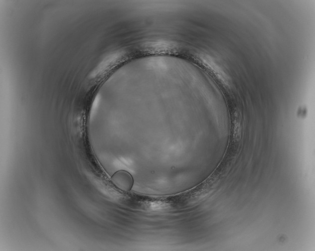 X0000093510165200710261205