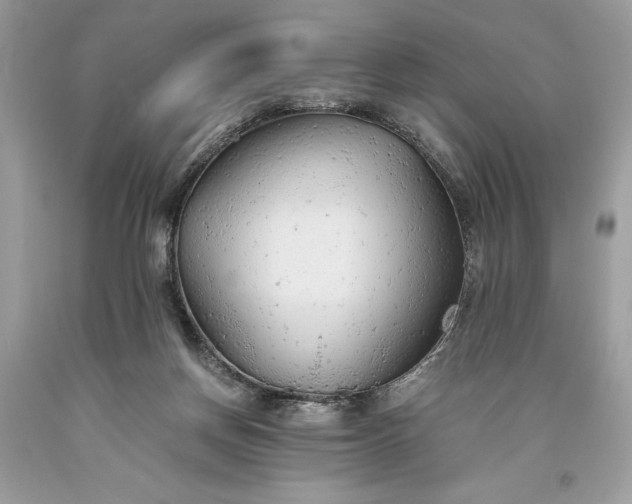 X0000093510166200710261205