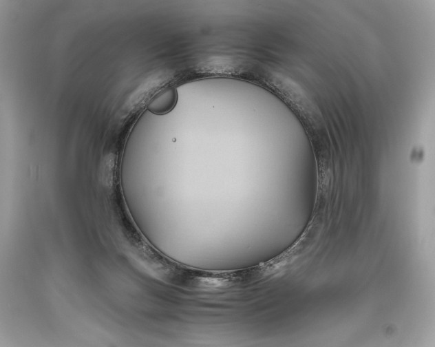 X0000093510167200710261205