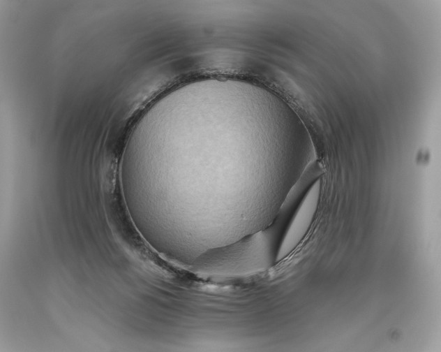 X0000093510168200710261205