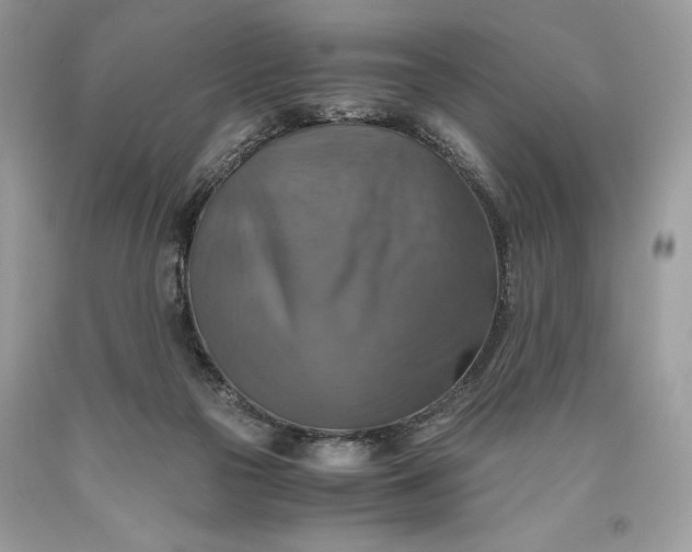 X0000093510169200710261205