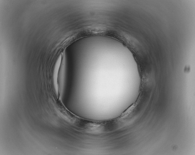 X0000093510170200710261205