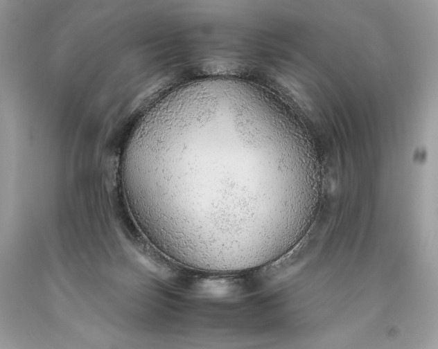 X0000093510171200710261205