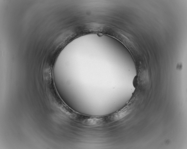 X0000093510172200710261205