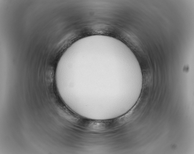 X0000093510174200710261205