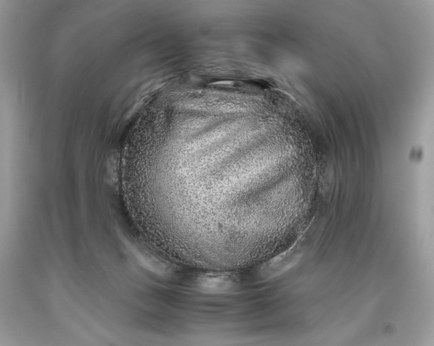 X0000093510175200710261205