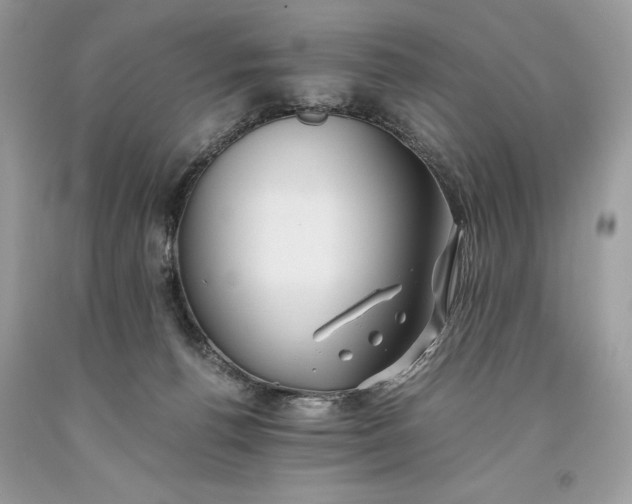 X0000093510176200710261205