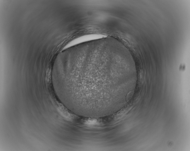 X0000093510177200710261205