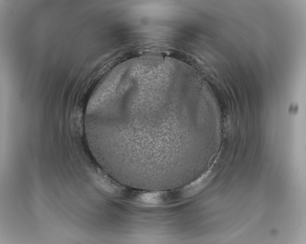 X0000093510178200710261205