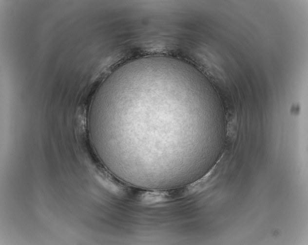 X0000093510179200710261205