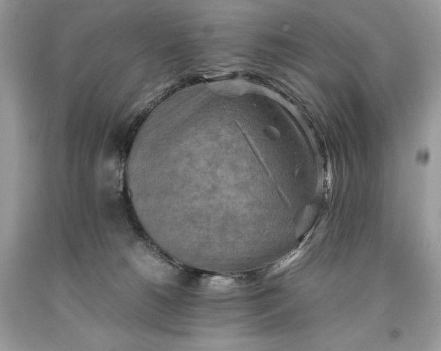 X0000093510180200710261205