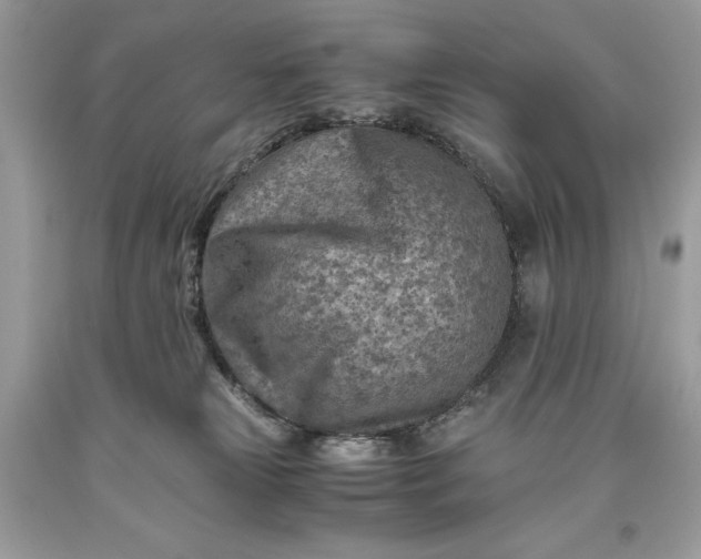 X0000093510181200710261205