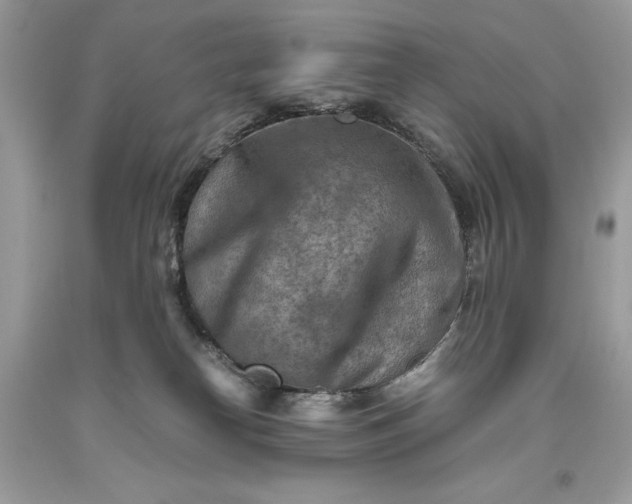 X0000093510182200710261205