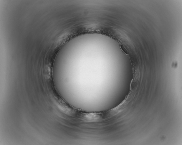 X0000093510183200710261206