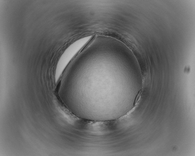 X0000093510186200710261206