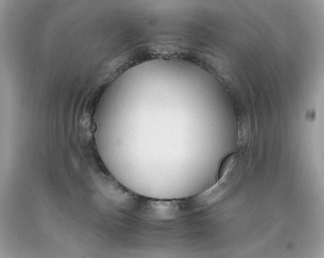 X0000093510187200710261206