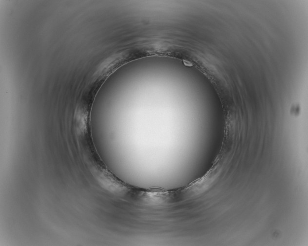 X0000093510188200710261206