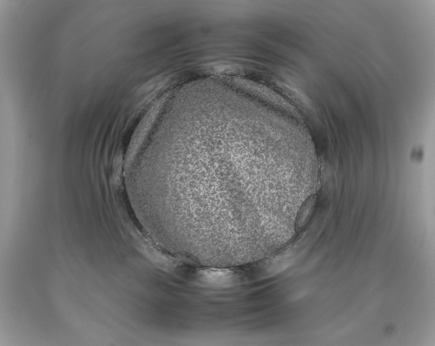 X0000093510189200710261206