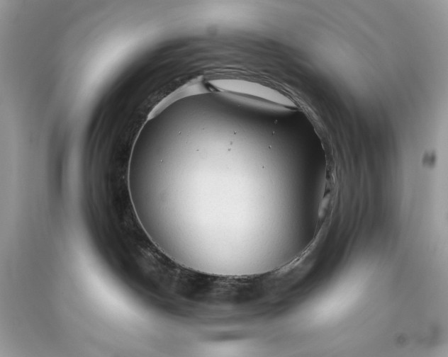 X0000093510190200710261206