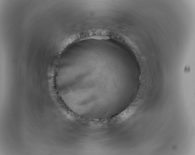 X0000093510192200710261206