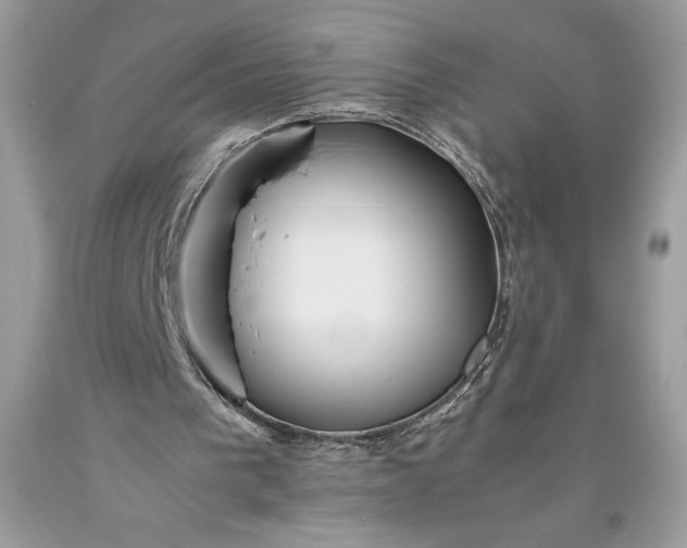 X0000093510193200710261205