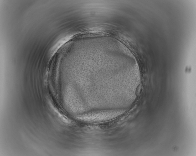 X0000093510194200710261205