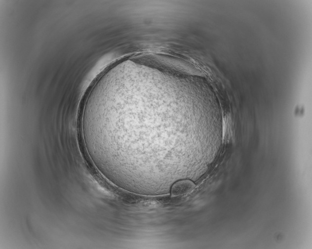 X0000093510195200710261205