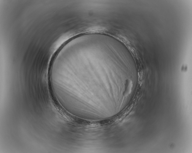 X0000093510196200710261205