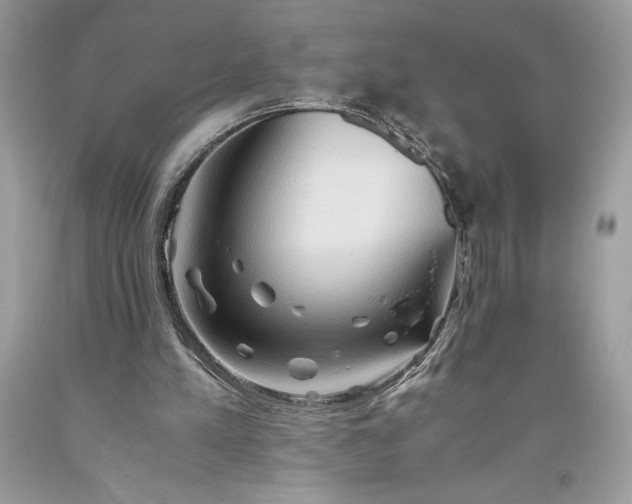 X0000093510197200710261205