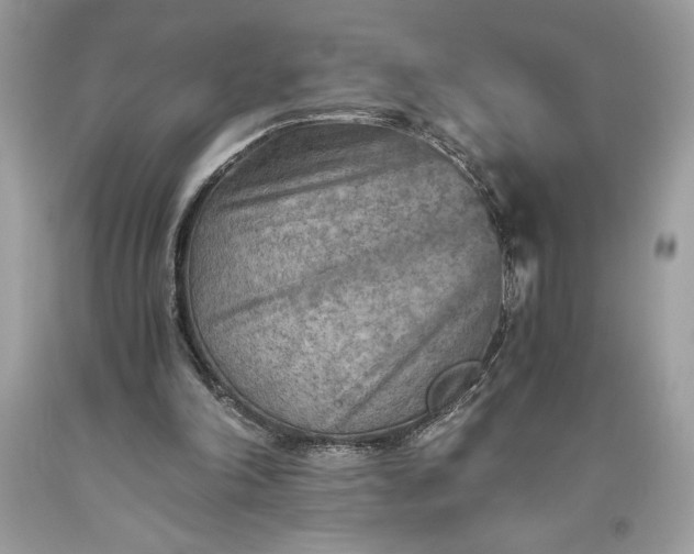 X0000093510198200710261205