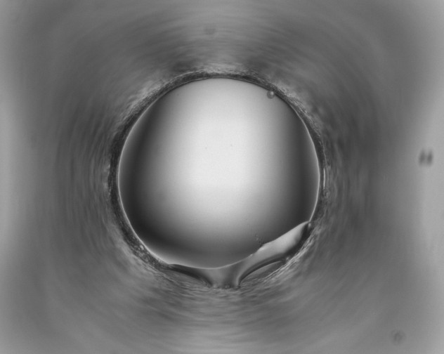 X0000093510201200710261205