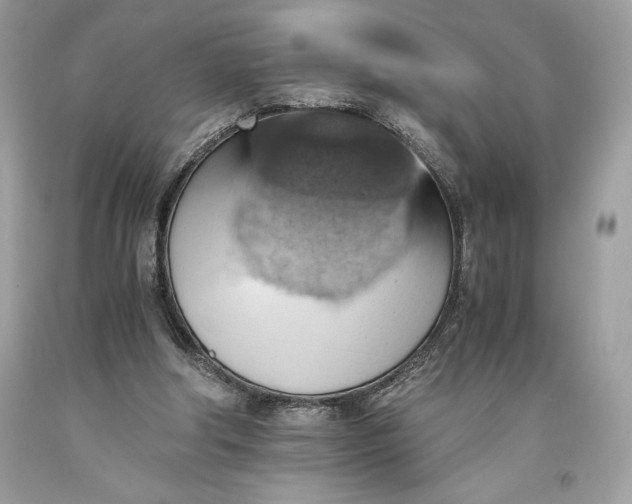 X0000093510202200710261205