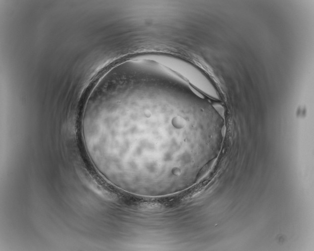 X0000093510203200710261205