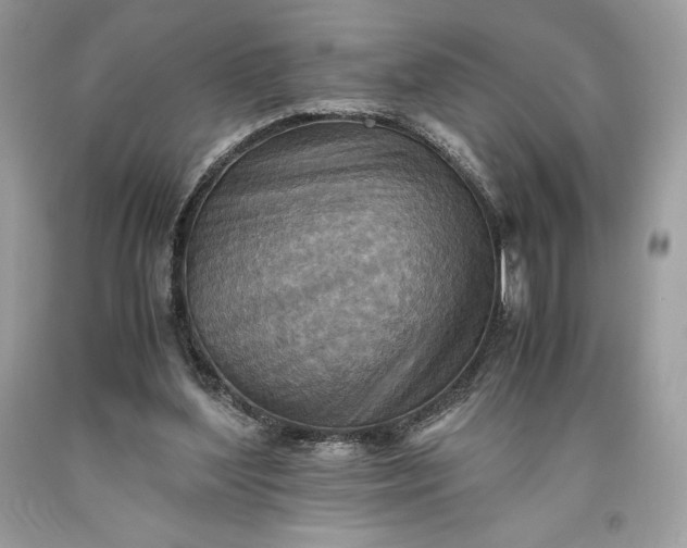 X0000093510204200710261205