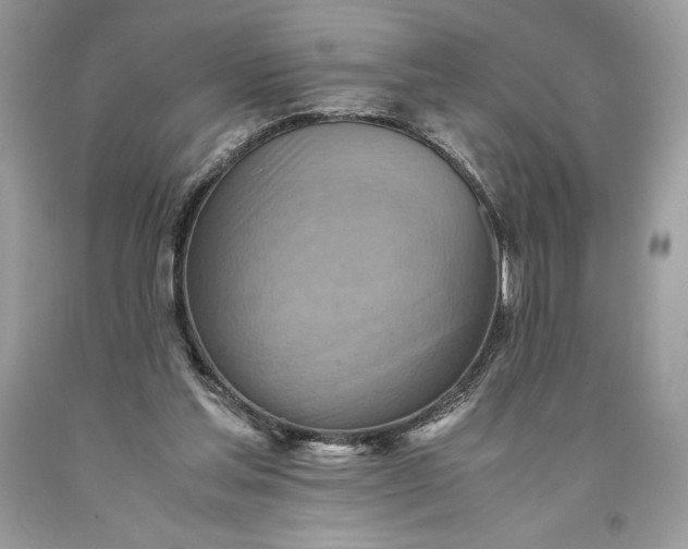 X0000093510205200710261205