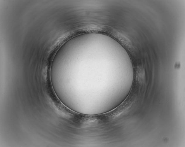 X0000093510206200710261205