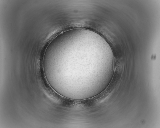 X0000093510207200710261205