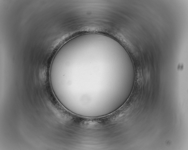 X0000093510208200710261205