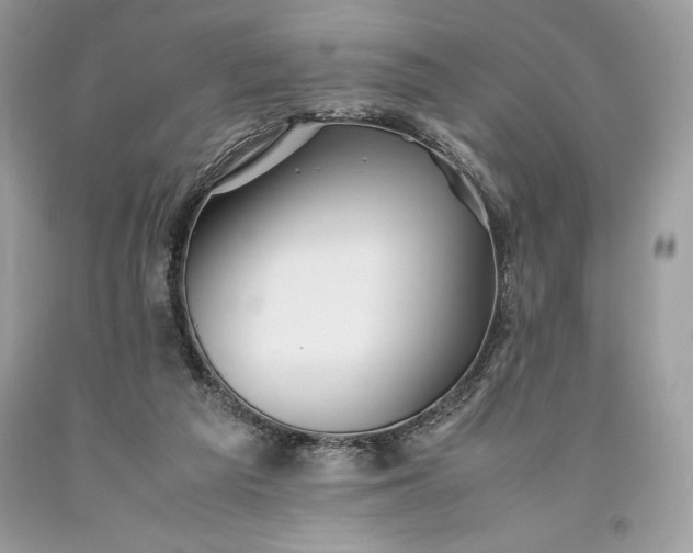 X0000093510209200710261205