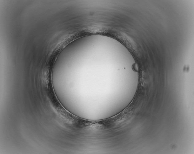 X0000093510210200710261205